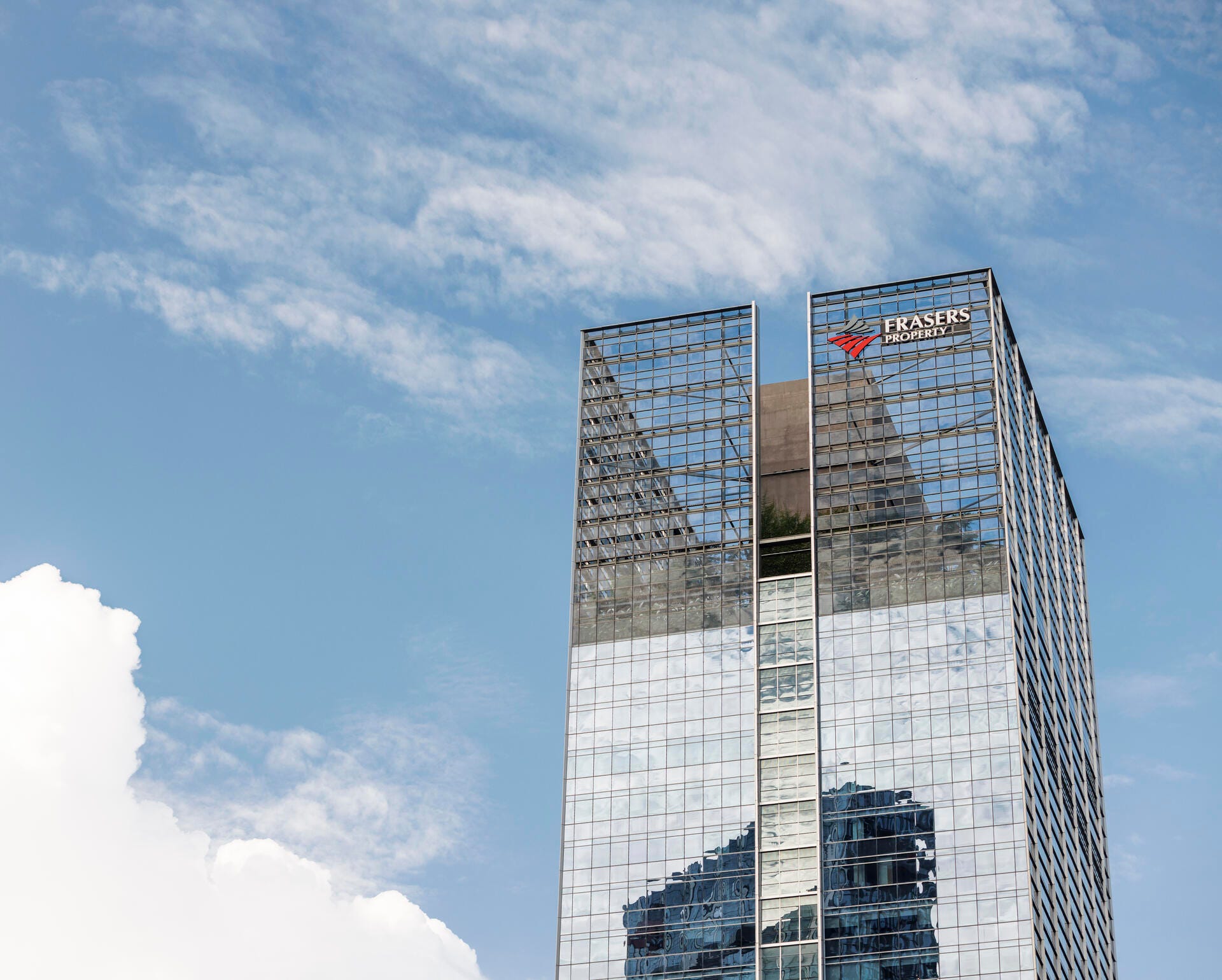 Our Board & management